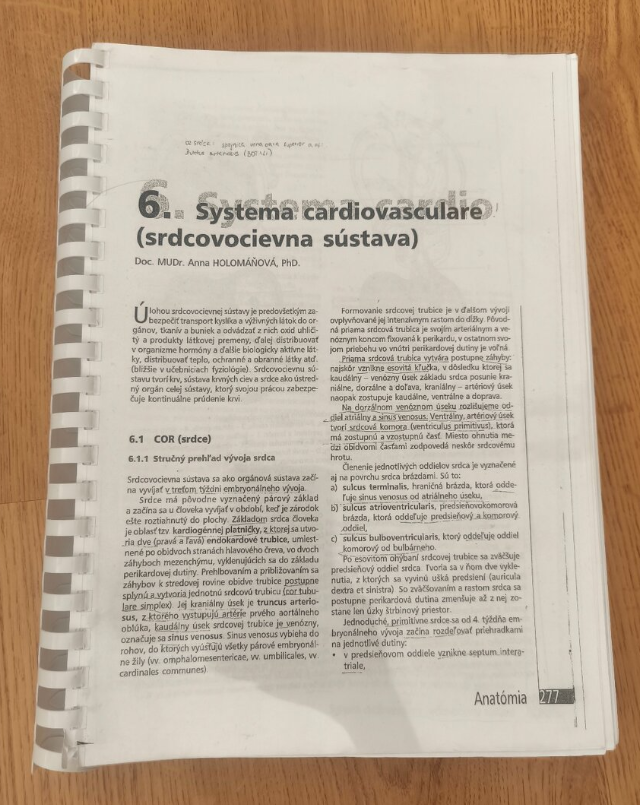 Anatómia ľudského tela, Peter Mráz