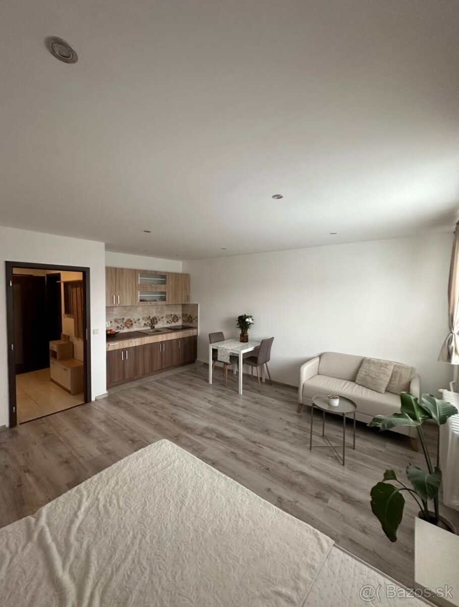 Prenajmem 1-izbový byt v Trenčíne