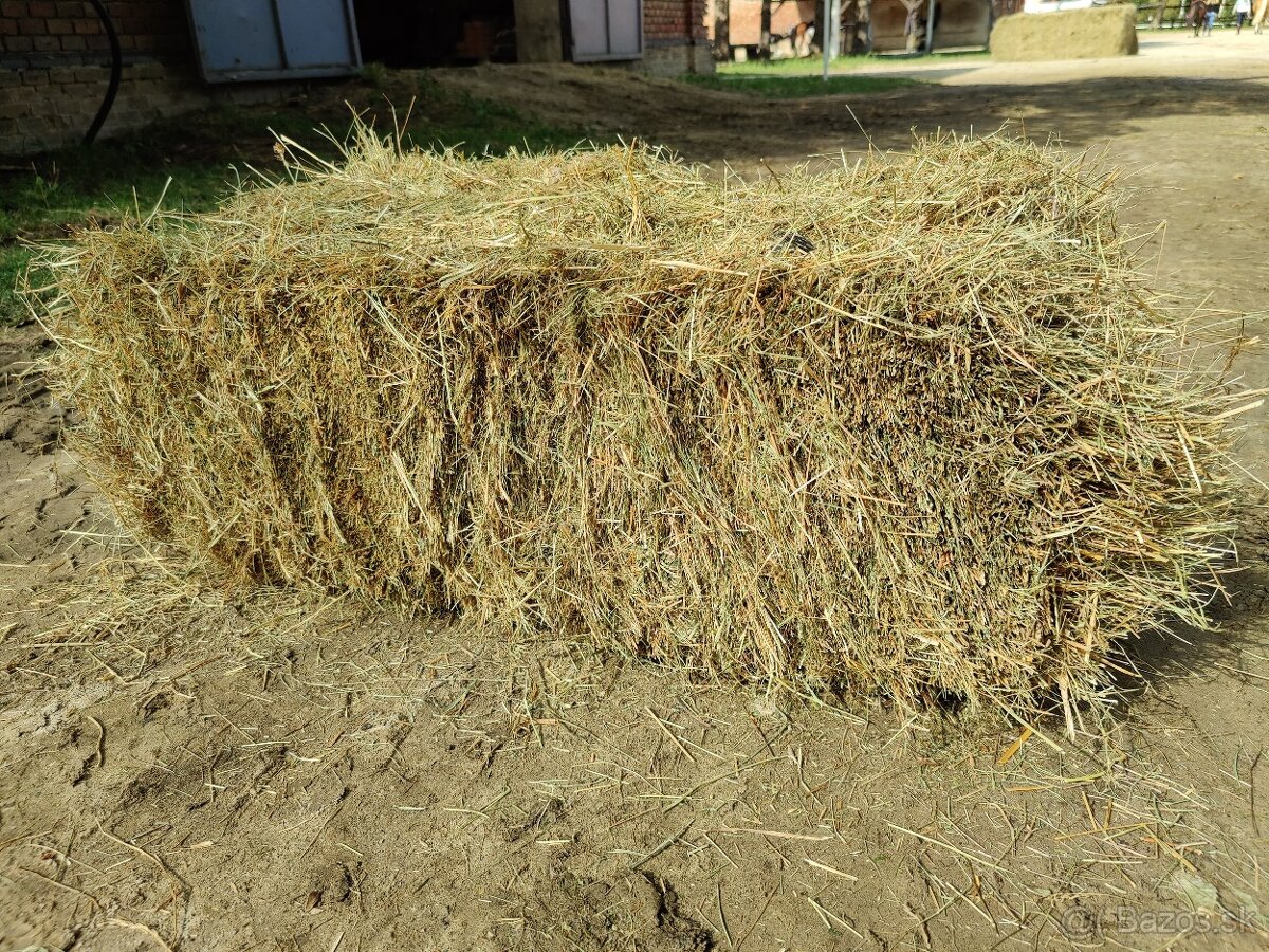 Predám seno v malých balíkoch.