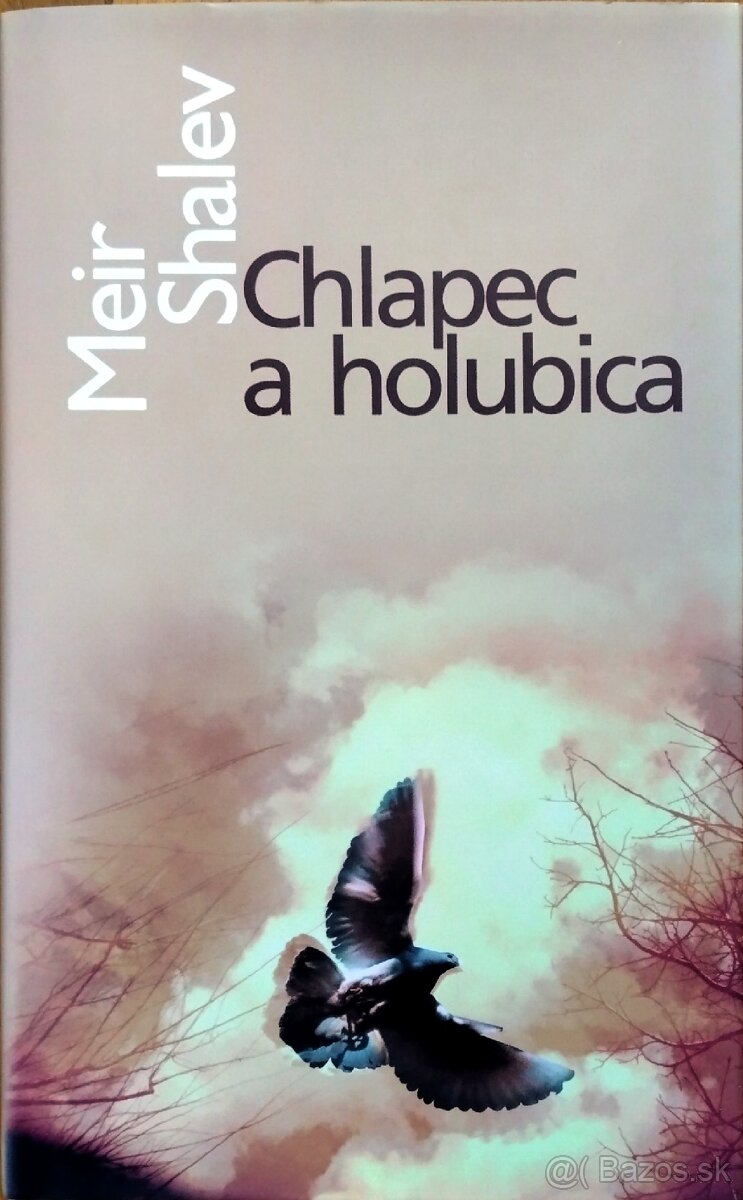 Meir Shalev: Chlapec a holubica