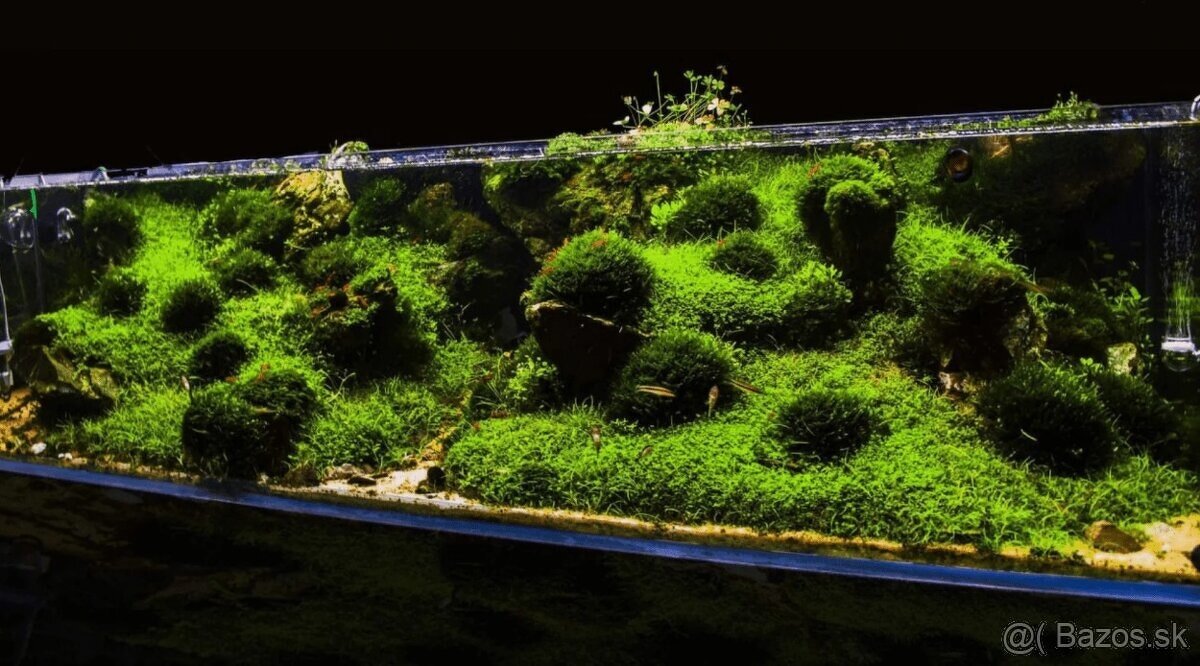 170L akvarium robene na mieru