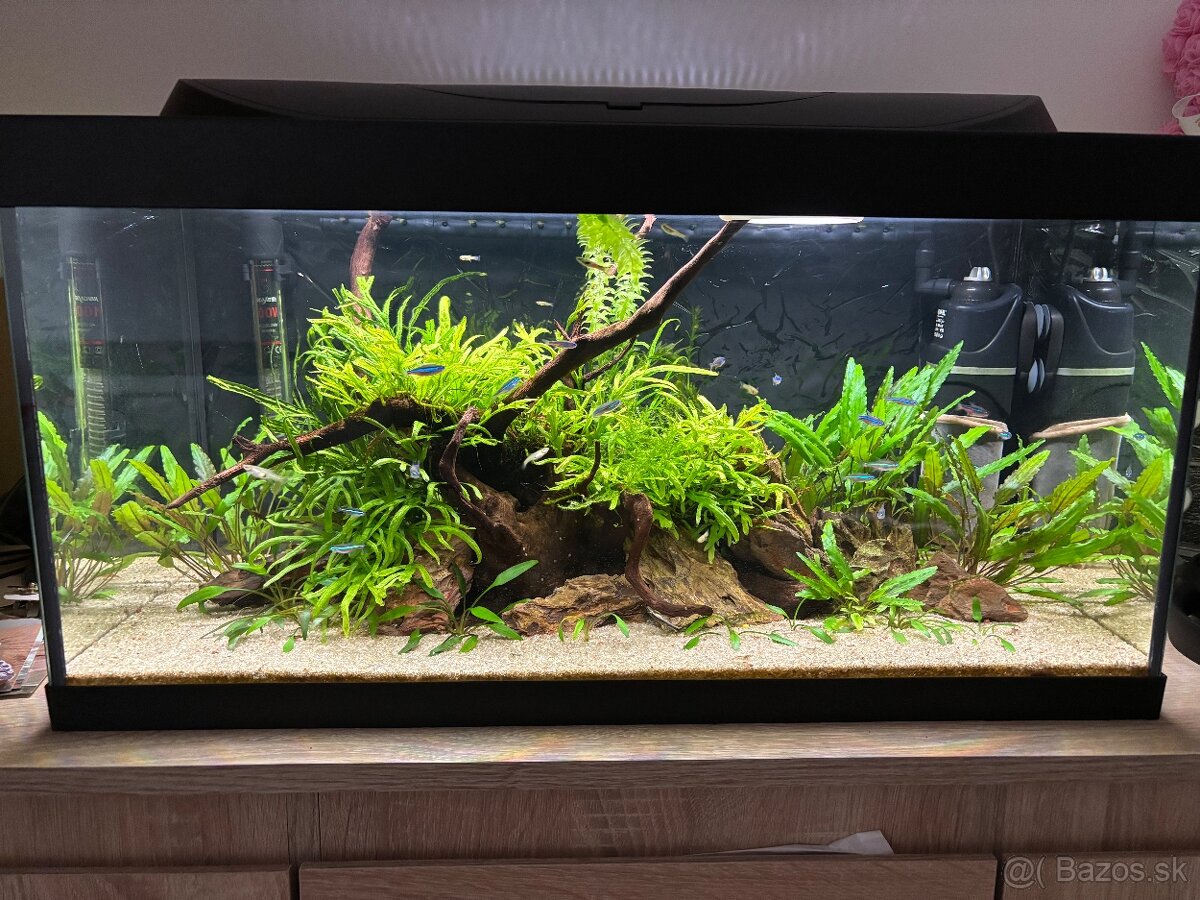 Akvárium 54L Tetra