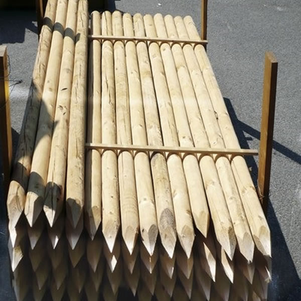 Drevené koly ku stromom