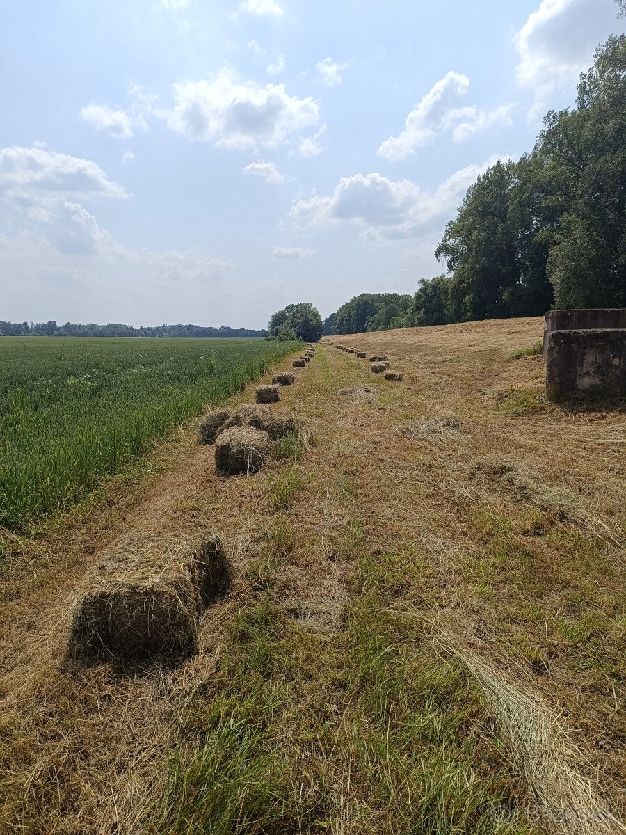 Seno malé balíky