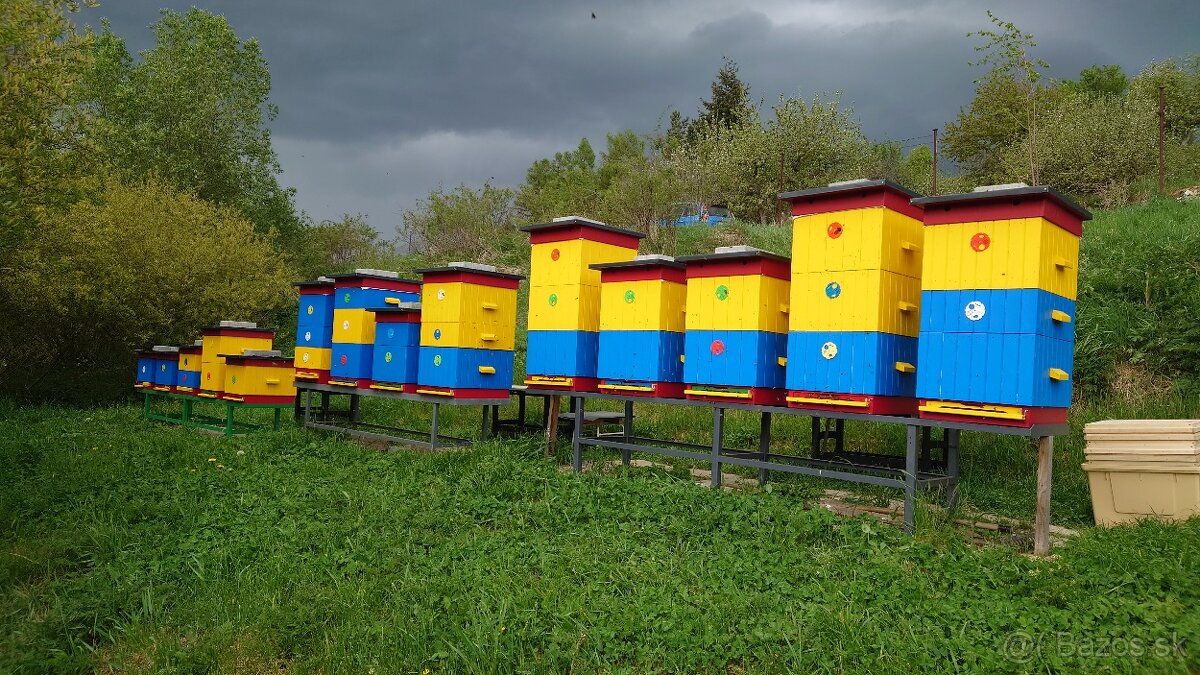 Predám včely