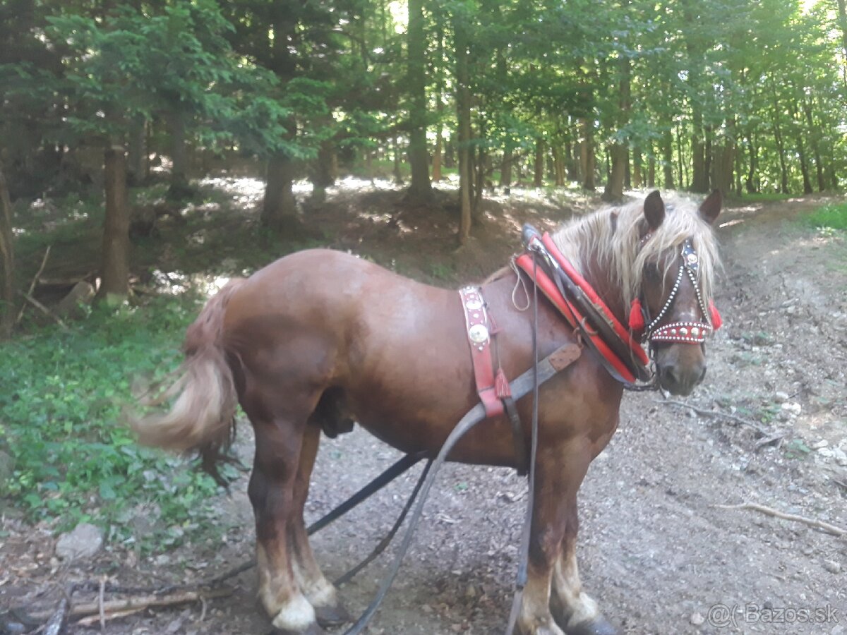 Ťažny valach