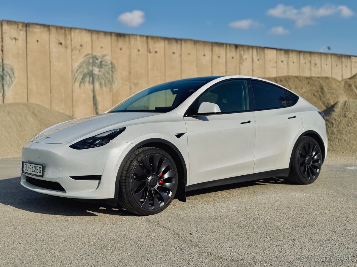 Tesla Y Performance