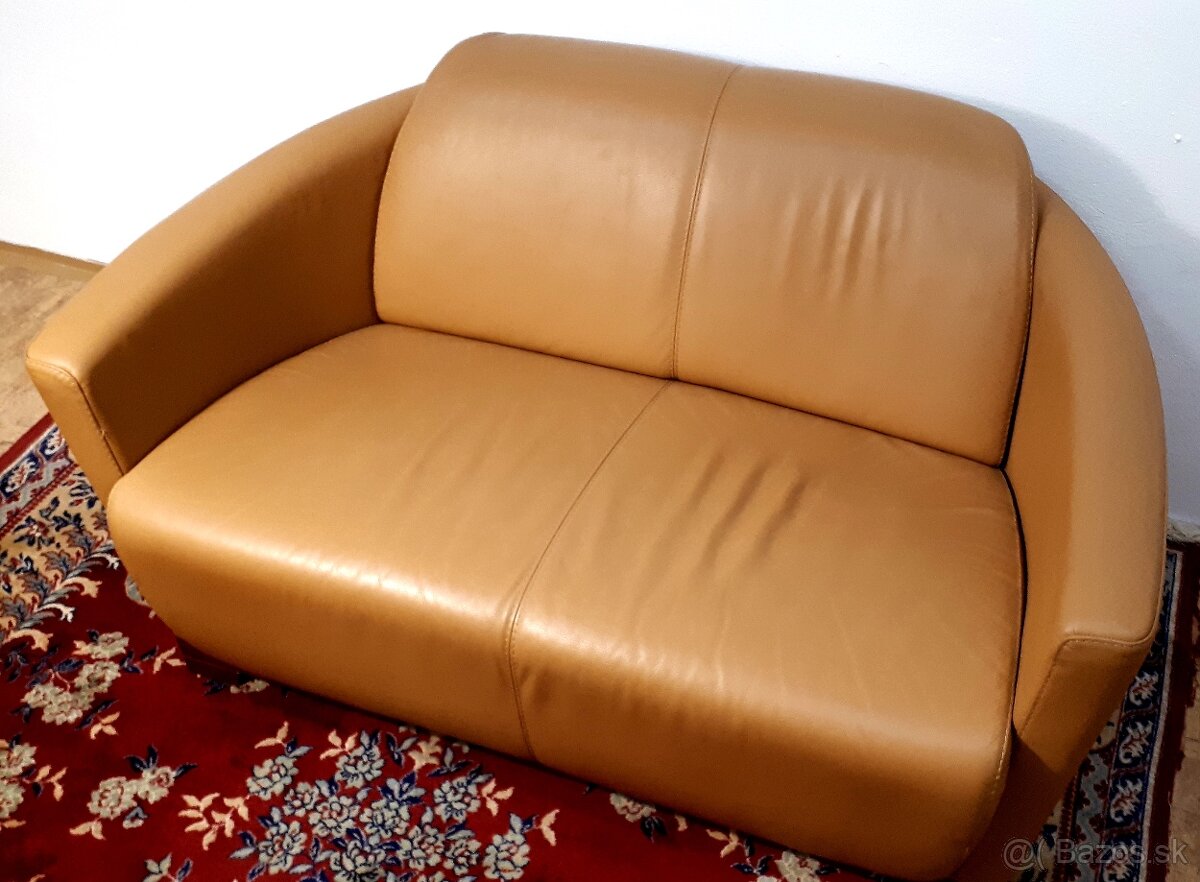 Dizajnové kožené dvojkreslo
