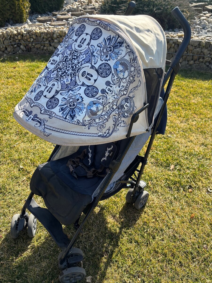 Športový kočík Easy Walker