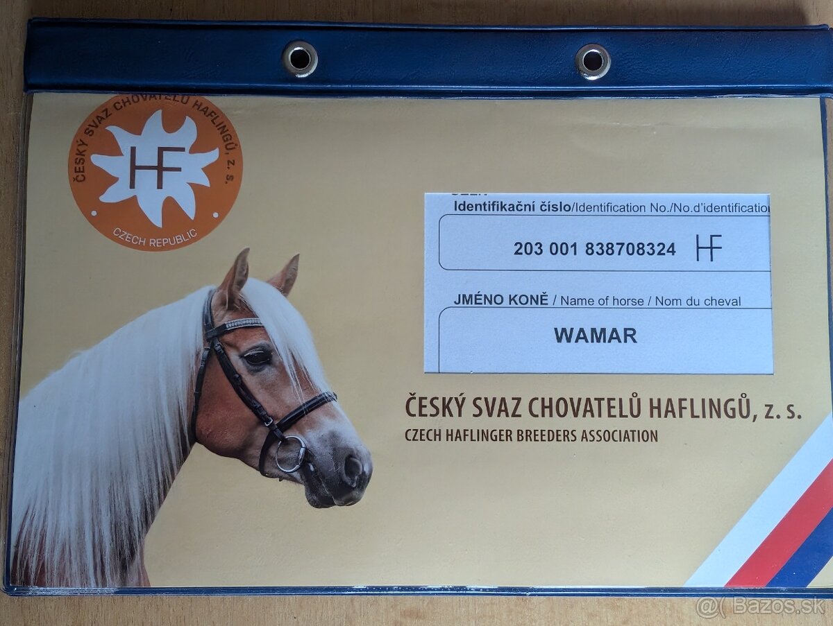 Žrebec HF