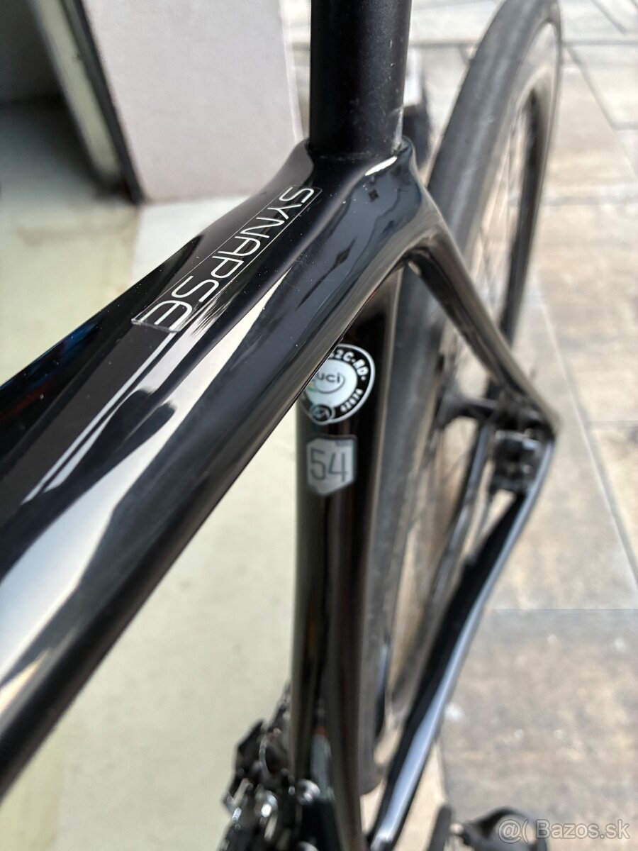 Canondale synapse