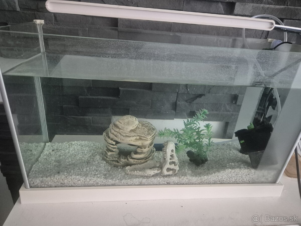 Predam akvarium s príslušenstvom