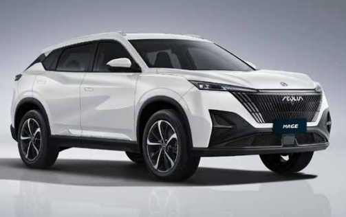 Dongfeng Mage 204k