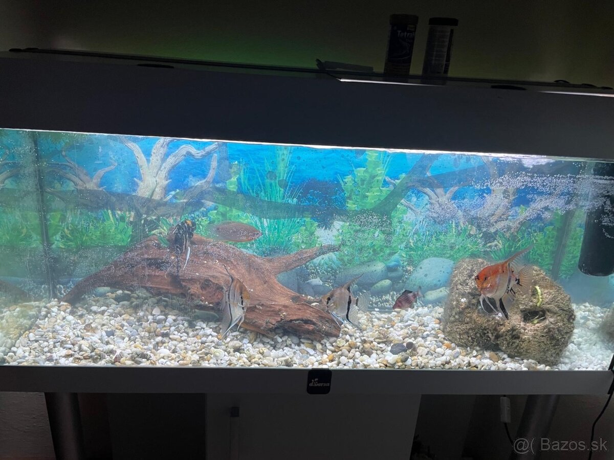Akvárium s komplet zariadením
