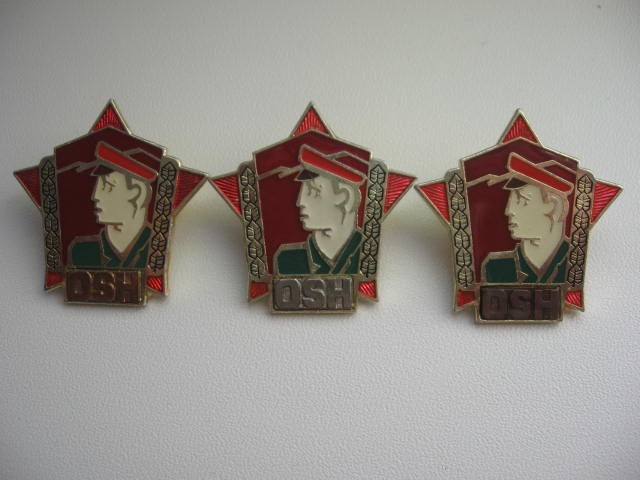 Vzorný pracovník OSH