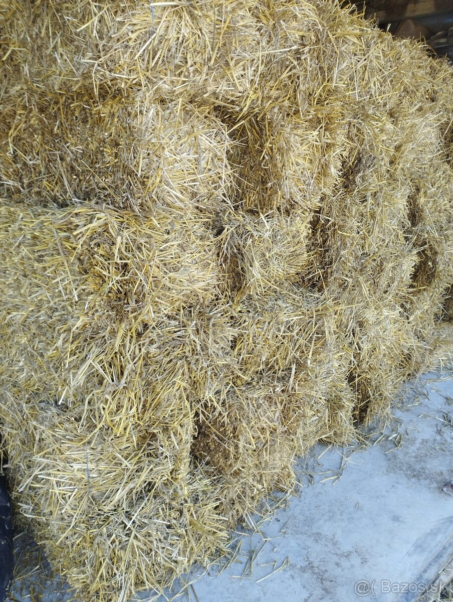 Predám malé balíky slamy a sena