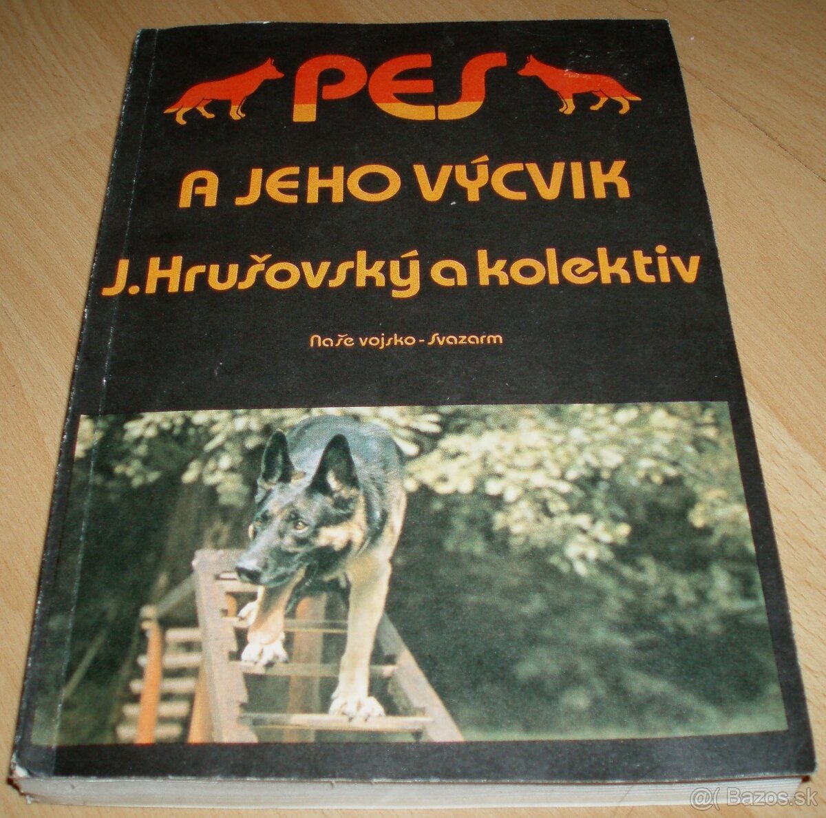 Pes a jeho výcvik