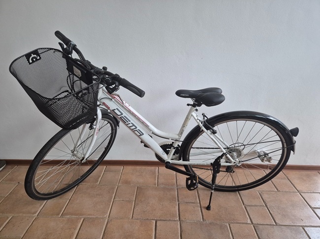 Dámsky cestný bicykel Dema Lugo