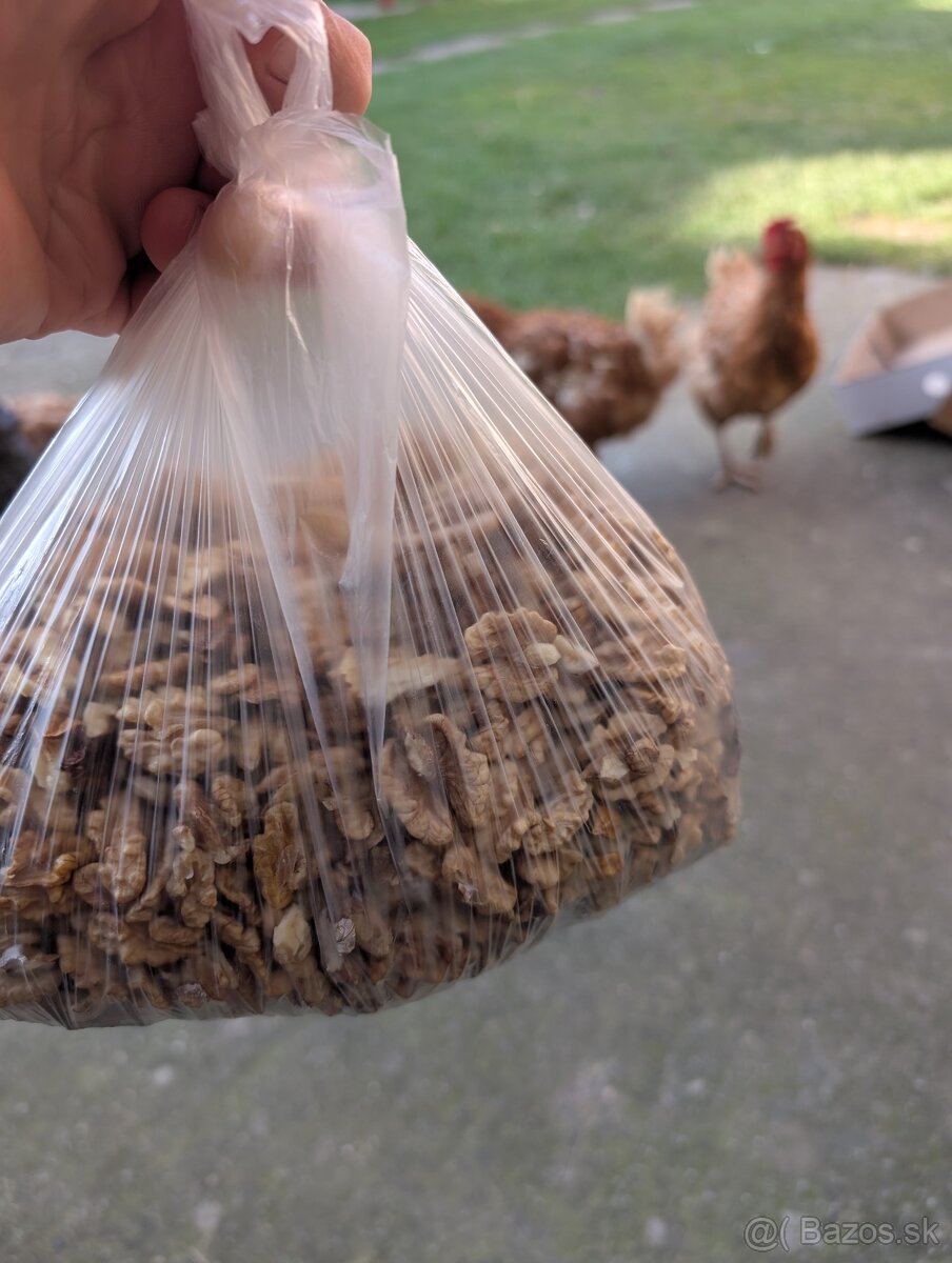 Domáce zajace na mäso, vlažské orechy vylúpané