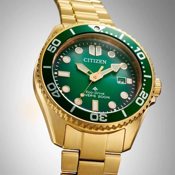 Citizen Promaster Eco-Drive Diver