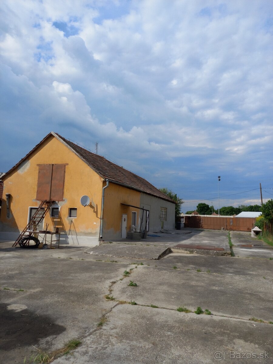 Predám starší dom s velkým pozemkom