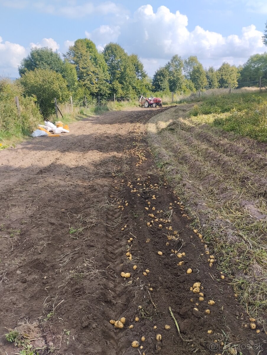 Predám lacno kŕmne zemiaky
