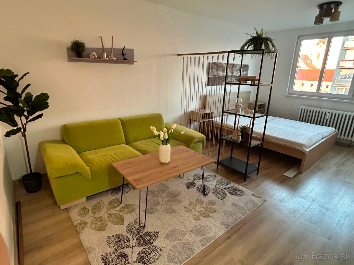 Prenájom1,5 izbový byt,ul. Hviezdna