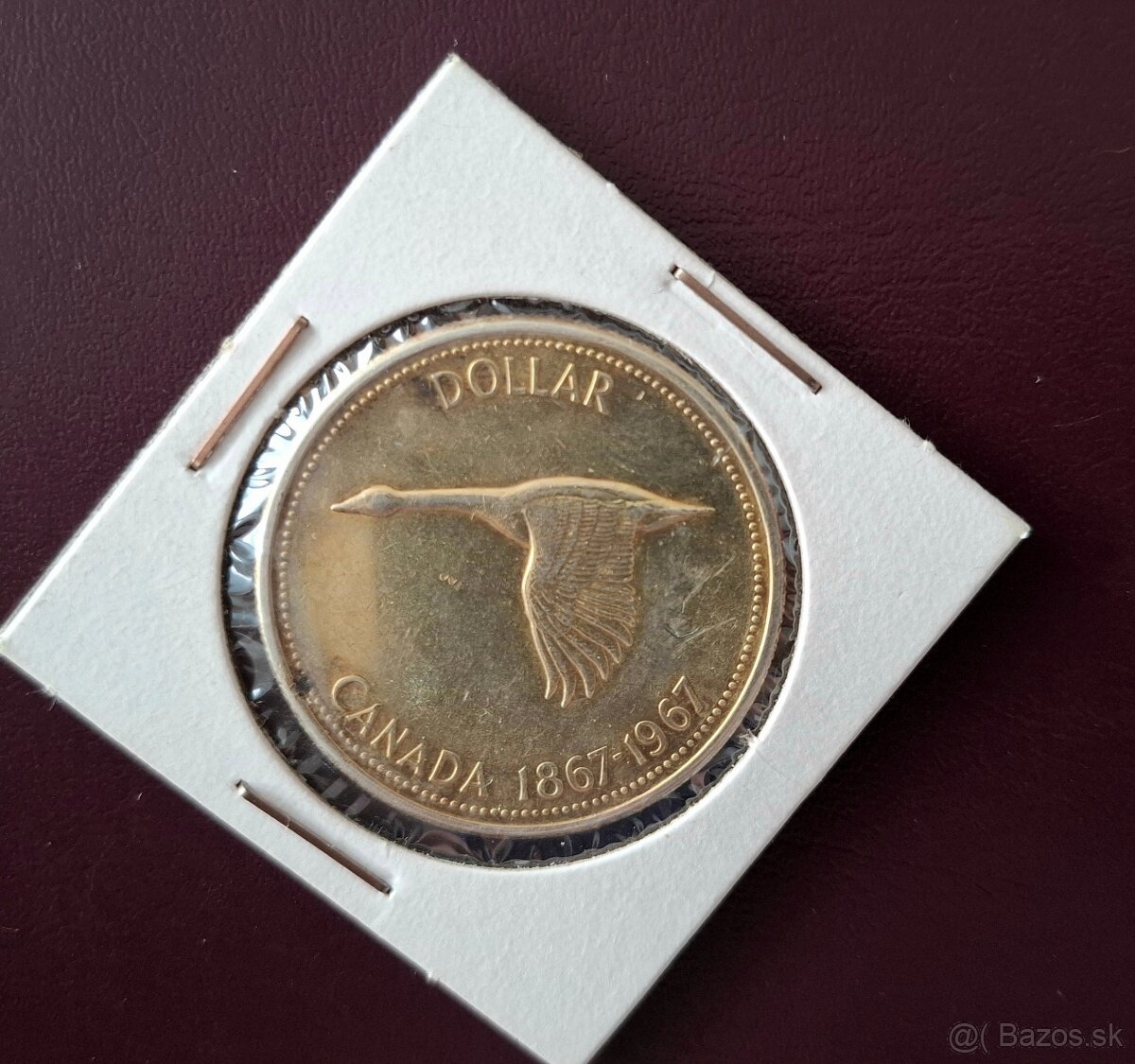 Kanadský dolar Lietajúca hus.