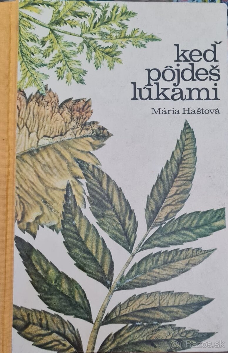Keď pôjdeš lúkami Mária Haštová