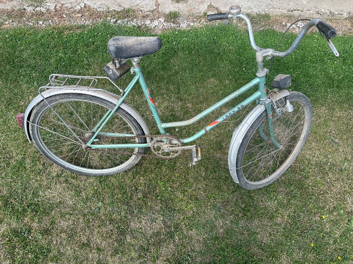 Lady 26
