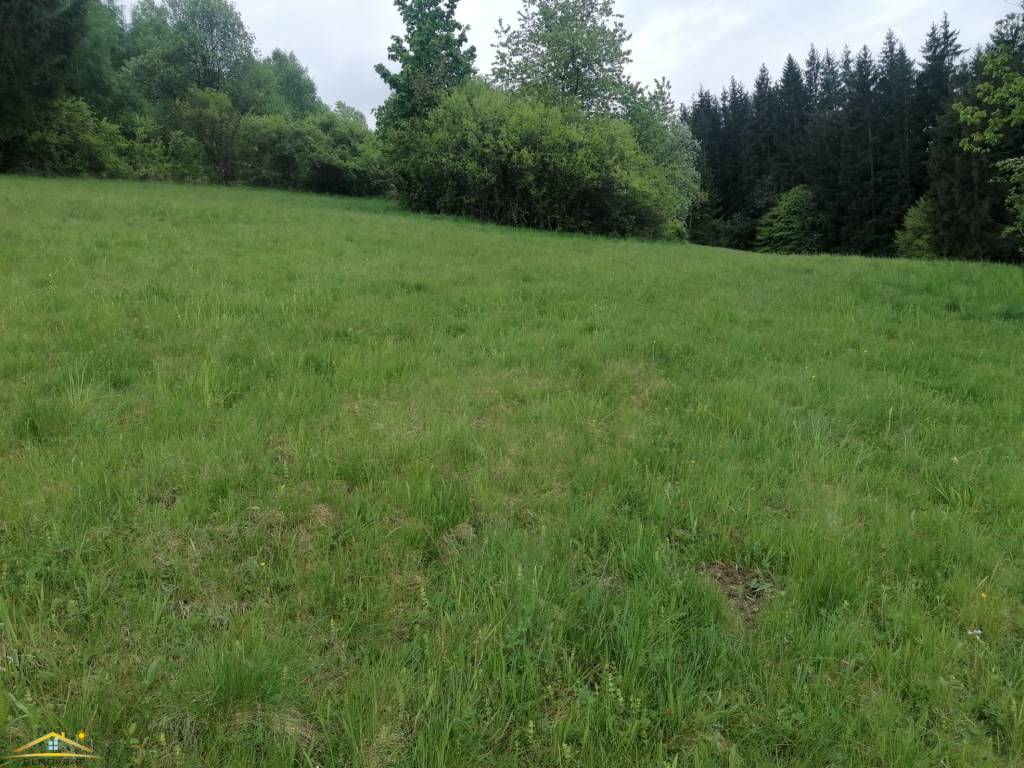 Predaj: Stavebný pozemok v obci Klokočov(199-P)