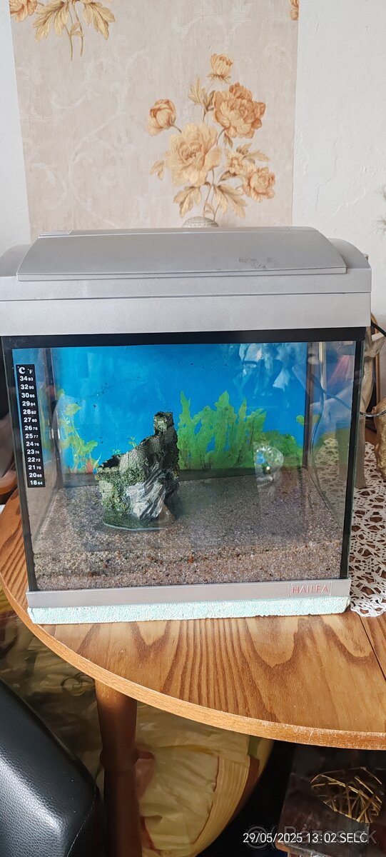 Predám akvárium 20L s filtrom