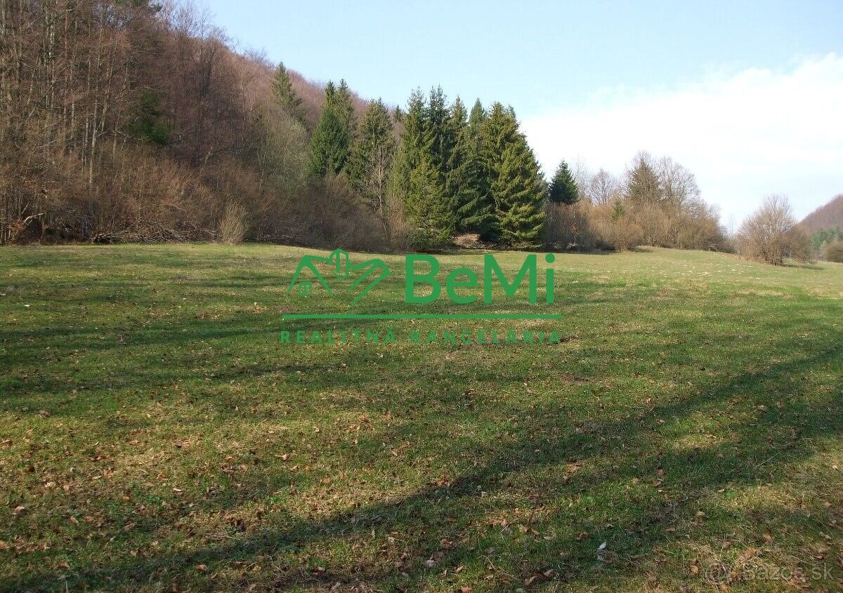 Pozemok v obci Lysica, okres Žilina 48338m2, 075-14-PEMOa