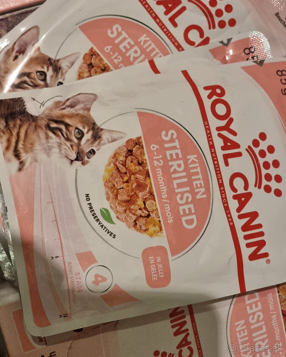 Royal Canin Kitten 8 baleni (12x85g)