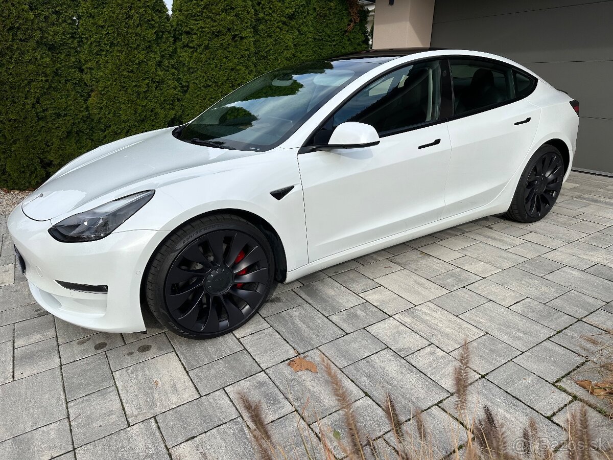 Predam:2022 Tesla3 Performance