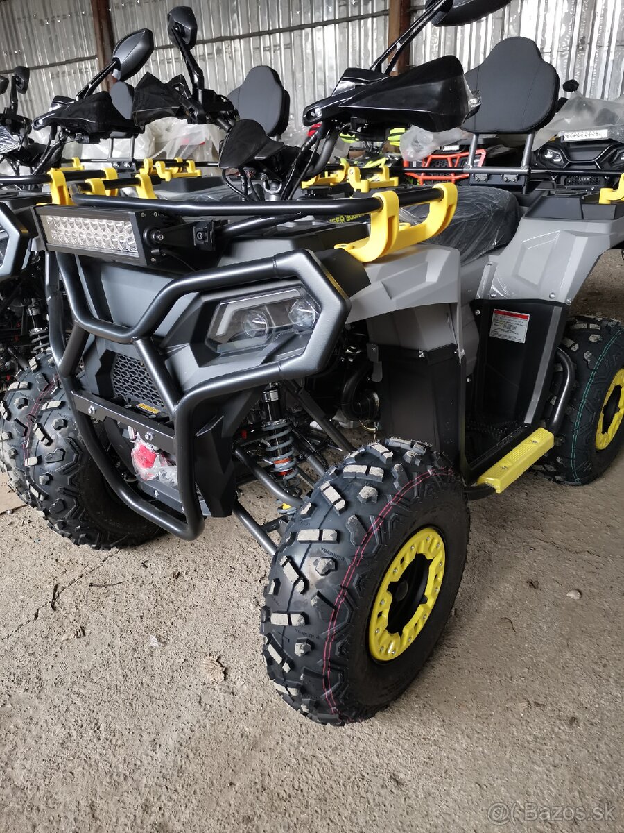 Ranger 300RR