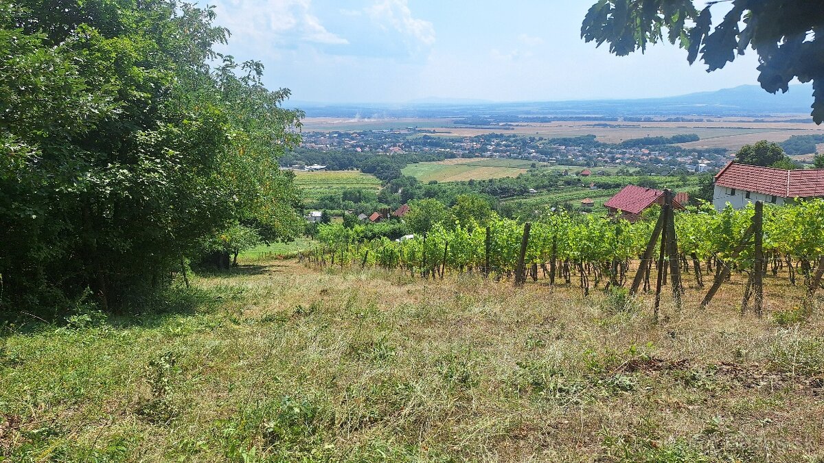 Pozemok - rekreačná oblasť pri obci Vinica