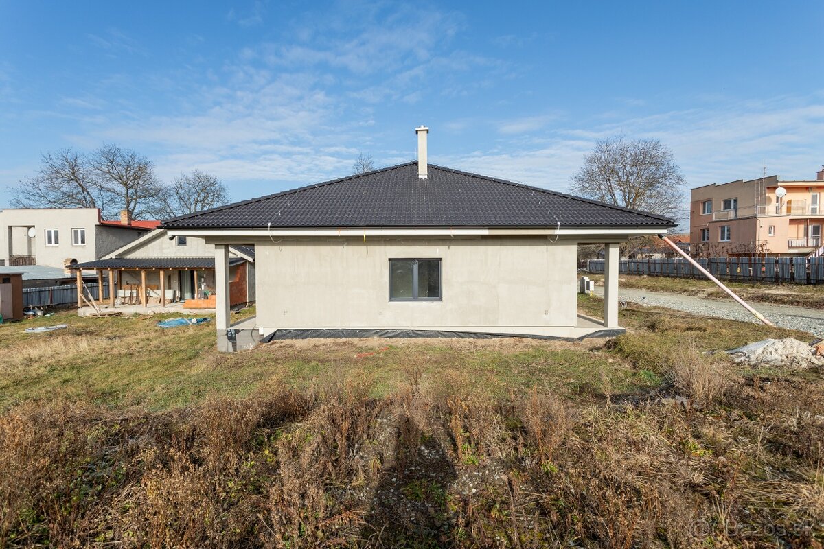 Holodom Ploské
