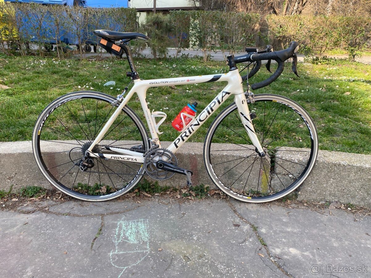 Principia evolution weave c16t