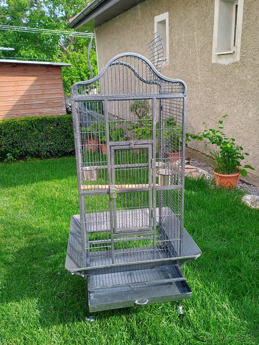 Žako amazonan