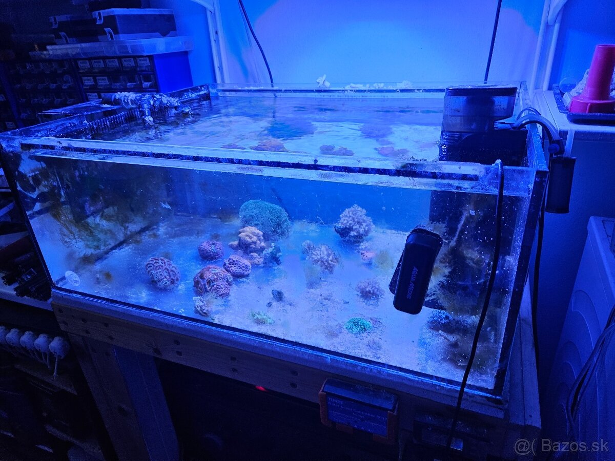 Akvarium 80x60cm s prepadom + sump 70x40cm za odvoz