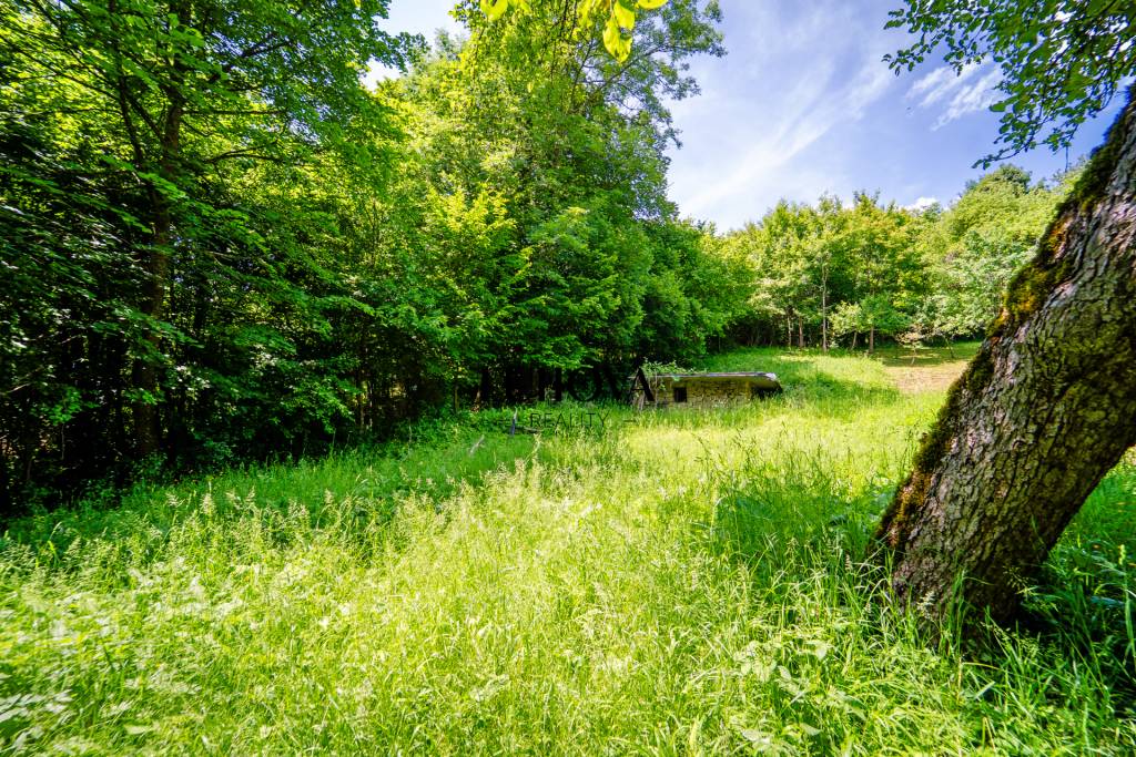Pozemok pre vašu chatku alebo záhradu_Zbora