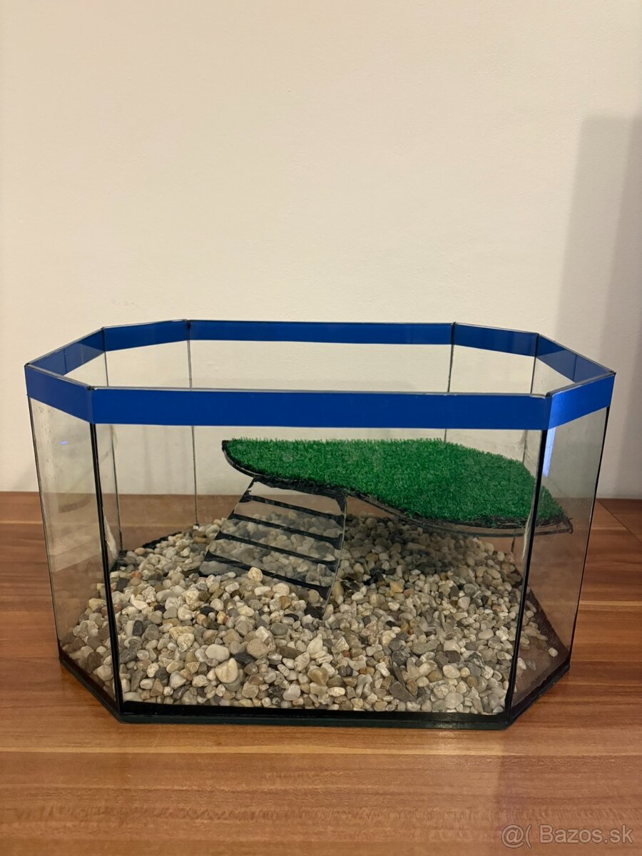 Terárium pre korytnačku