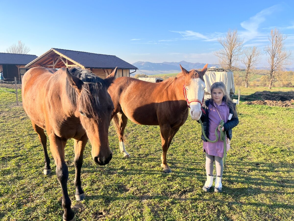 Výuka jazdenia