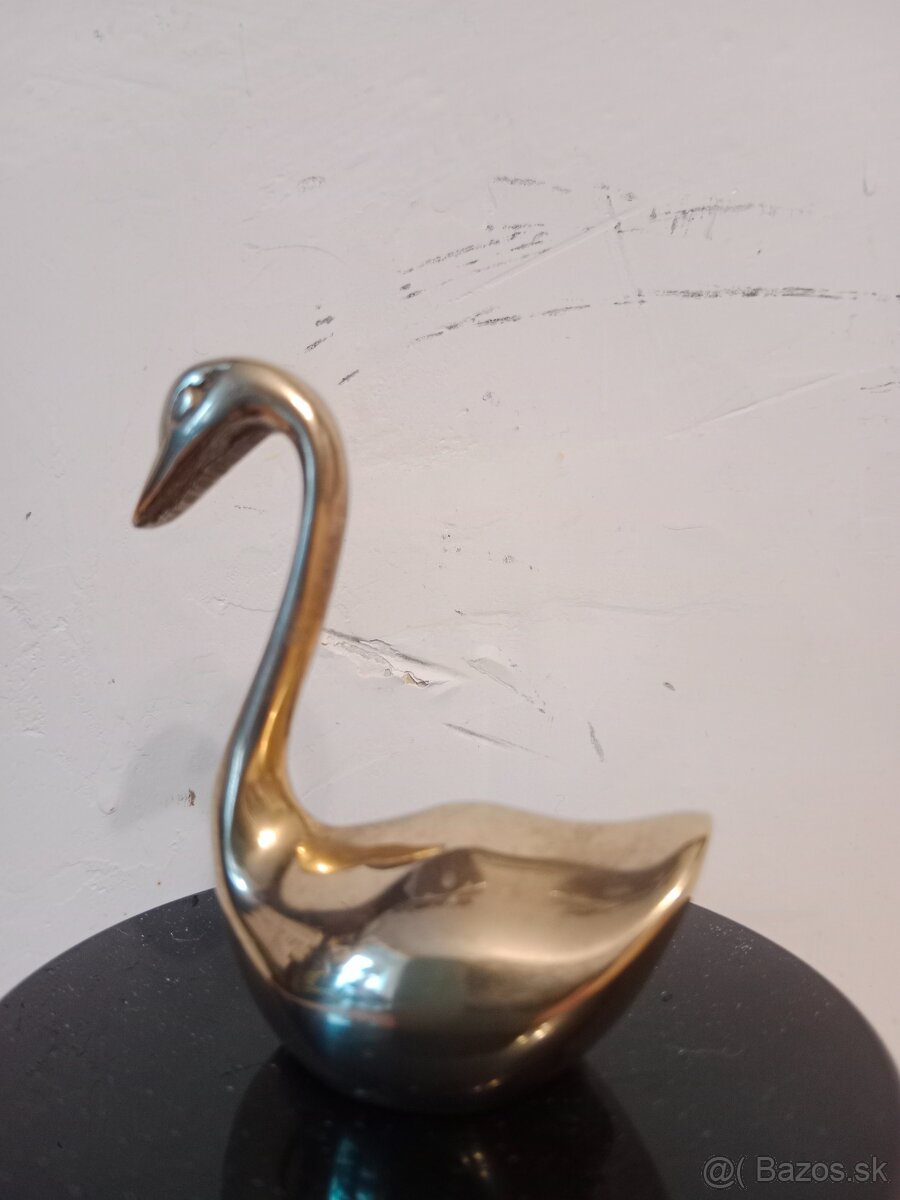 Mosazná labuť 1