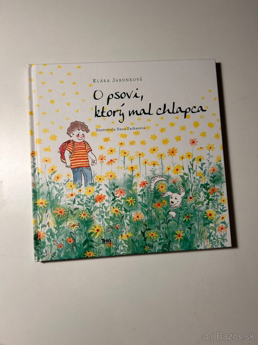 Kniha o psovi ktorý mal chlapca