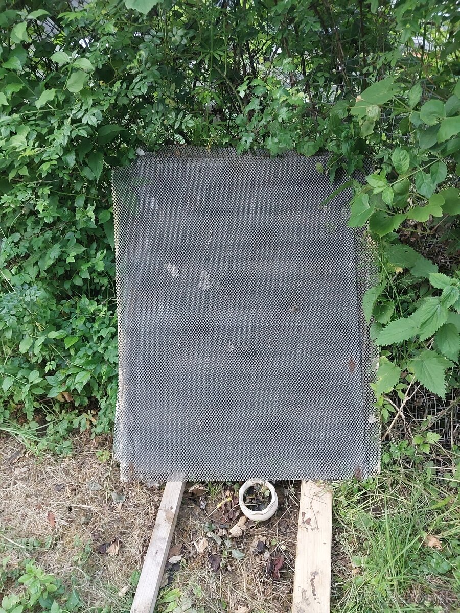 Dierovanie rošty