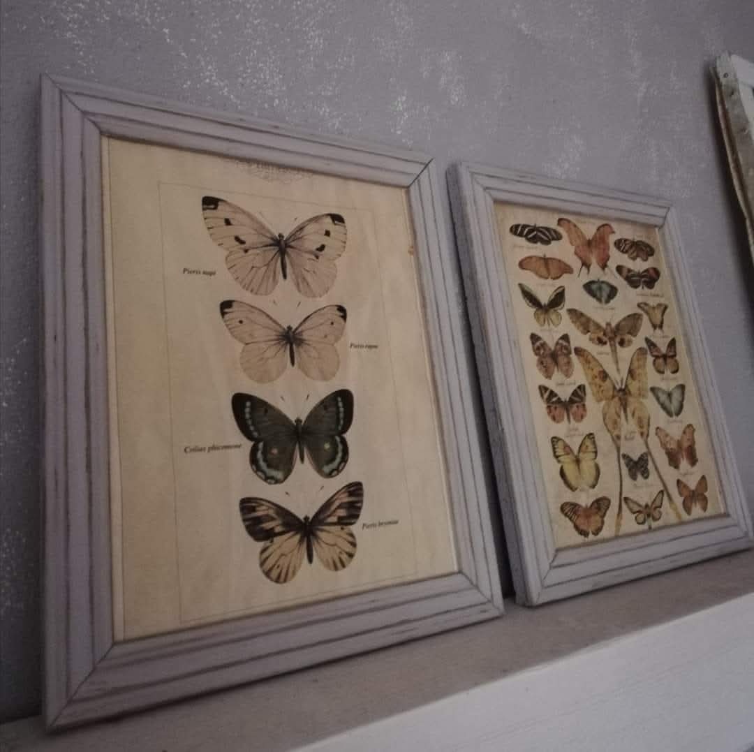 Vintage obrázky Motýle...