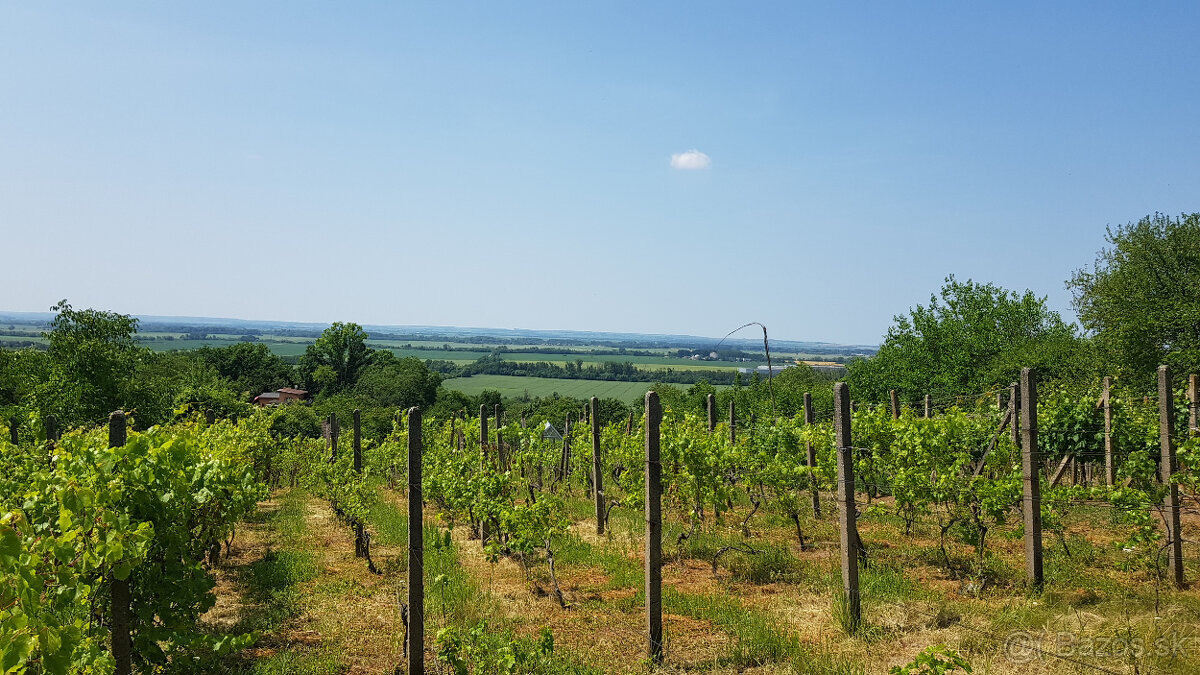 Predám dva vinohradnícke domy s pozemkami medzi vinohradmi p
