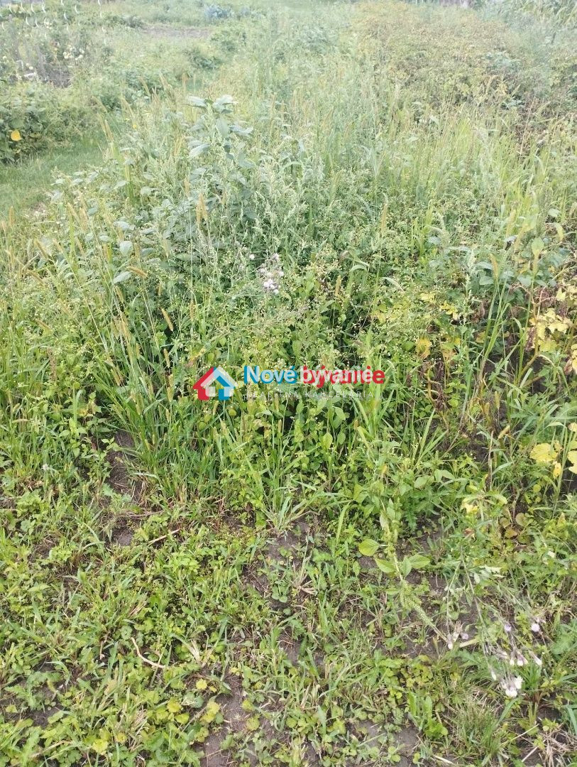 Predaj, stavebný pozemok so starším domčekom Veľký Horeš